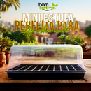 Mini estufa de mesa Bom Cultivo para germinação de sementes 50 células