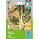 Envelope de sementes de cebolinha verde Isla
