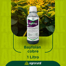 Bayfolan Cobre fertilizante foliar organomineral 1 litro